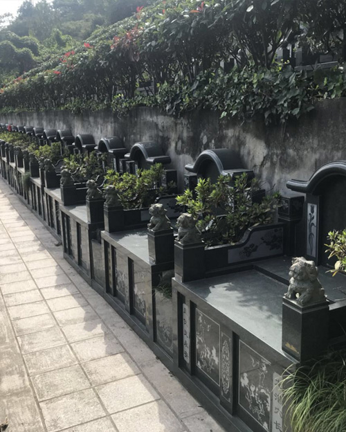 德信（中国）